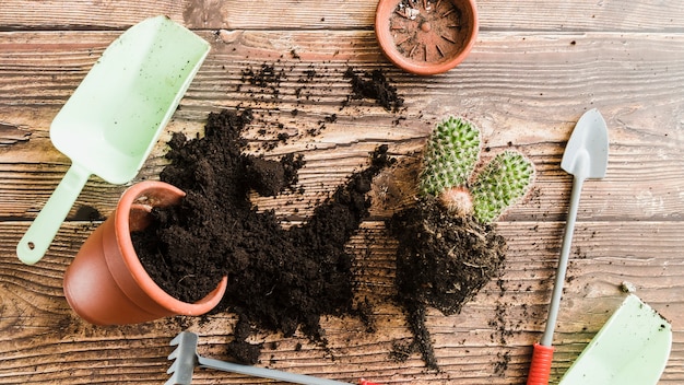 こぼれた土で鉢植えの植物 サボテンの植物と木製のテーブルの園芸工具 無料の写真