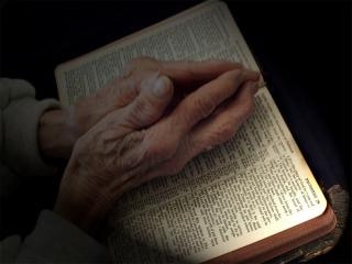 Praying Hands on Bible Free Photo