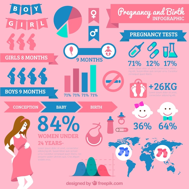 Pregnancy and birth infographic Vector | Free Download