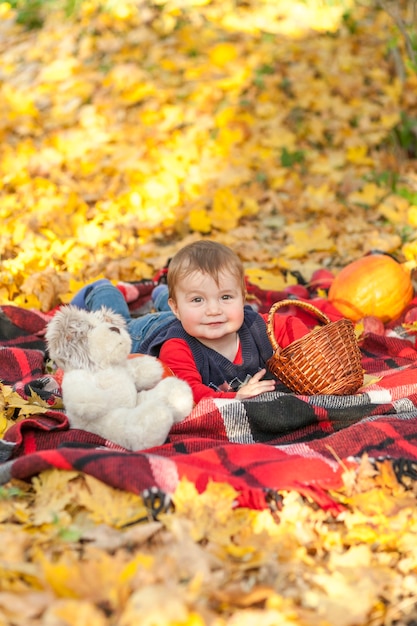 Free Photo Pretty Little Baby Laying On A Picnic Blanket