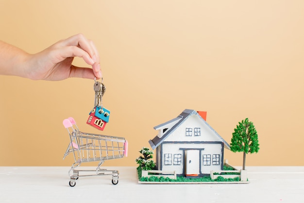 Property market with house and  mini house in shopping cart Free Photo