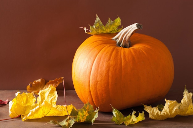 Premium Photo | Pumpkin And Autumn Leaves