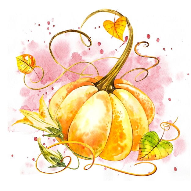 Premium Photo | Pumpkin. hand drawn watercolor painting on white ...