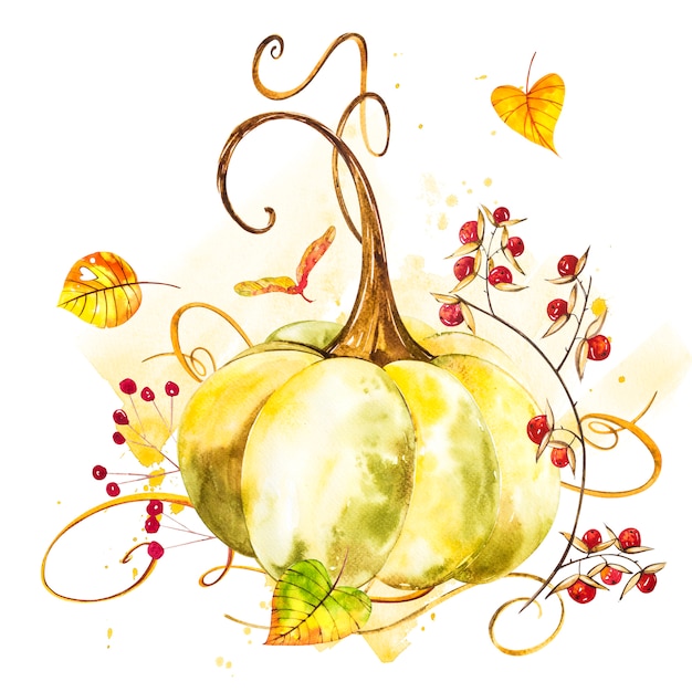 Premium Photo | Pumpkin. hand drawn watercolor painting on white ...