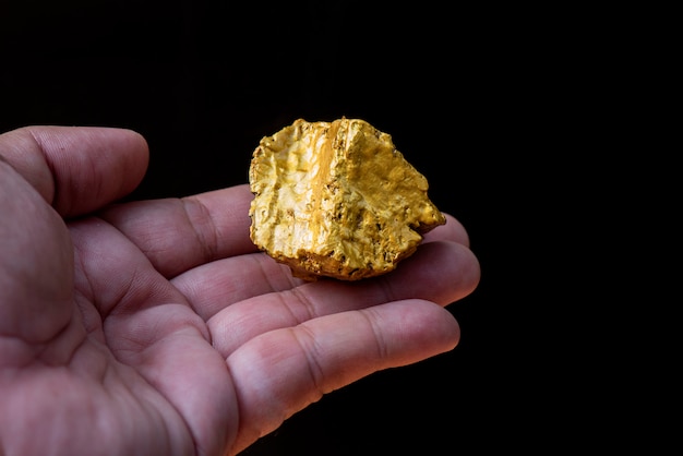 Pure gold ore found in the mine is in the hand Premium Photo