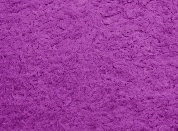 Premium Photo Purple Carpet