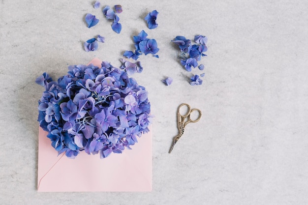 Purple hydrangea flower on pink envelope with scissor against rough backdrop Free Photo