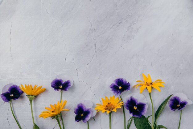 Premium Photo Purple And Yellow Flowers On A Marble Background