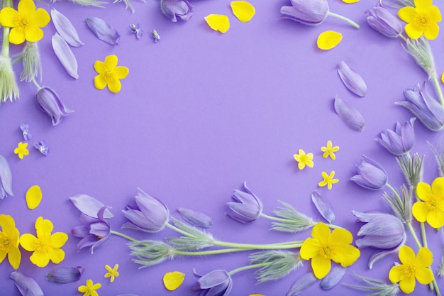 Premium Photo  Purple and yellow spring flowers on violet paper