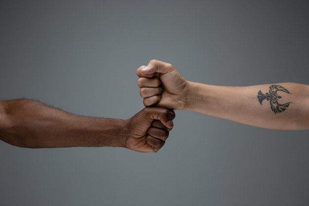 racial unity definition racial unity definition