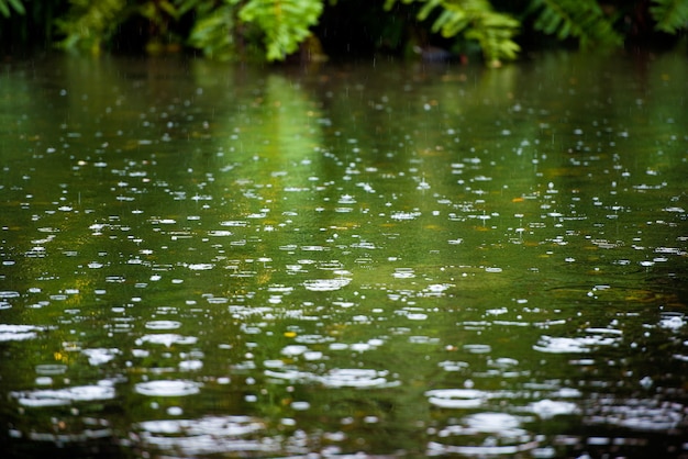 Premium Photo | Rain drops rippling in a puddle with blue sky reflection.