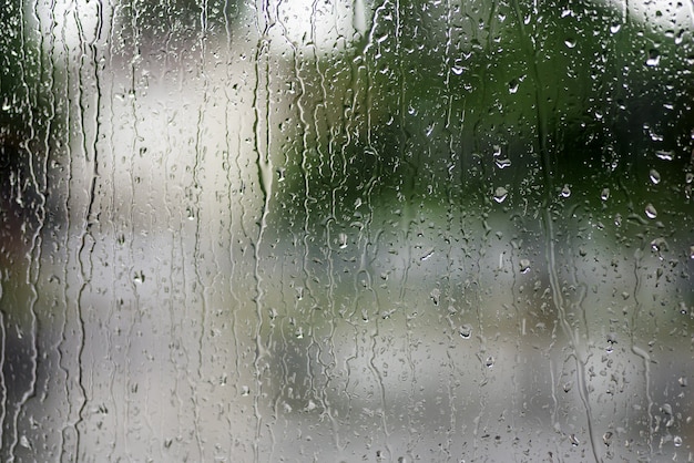 Rain drops on the window with green | Premium Photo