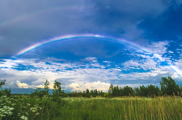 雨上がりの畑や森の上空の虹 プレミアム写真