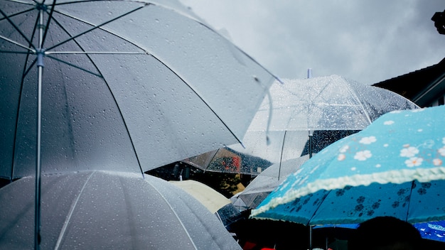 雨の日と傘 無料の写真