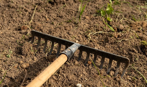 Premium Photo | Rake on the ground