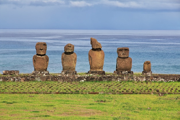 Premium Photo Rapa Nui The Statue Moai In Ahu Tahai On Easter Island