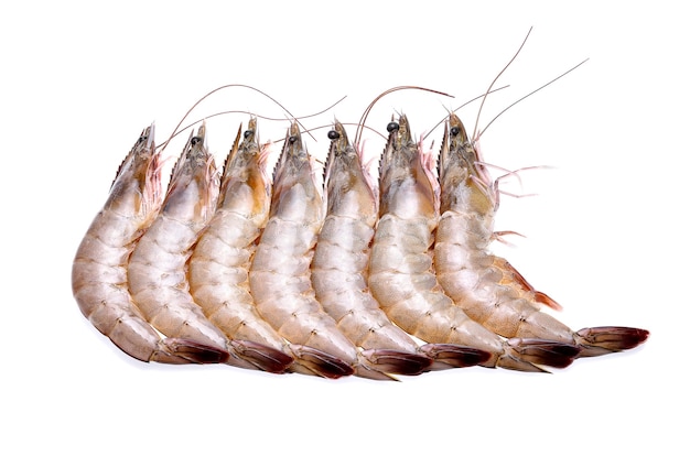 Premium Photo Raw Shrimps On White Background