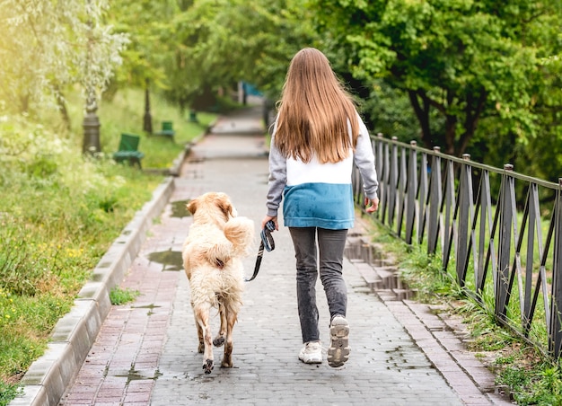濡れた公園の路地に沿って犬の散歩の若い女の子の後姿 プレミアム写真