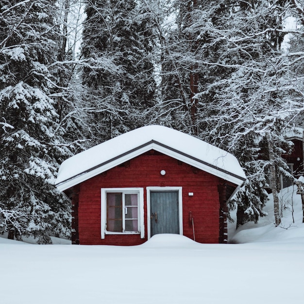 雪に覆われた森の赤い小屋 無料の写真