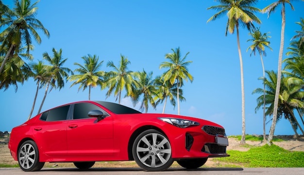 Premium Photo | Red car on a background of palm trees.