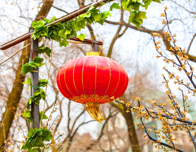 Premium Photo | Red chinese lamp on the tree in new year