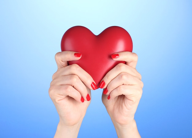 Red heart in woman's hands on blue background Premium Photo