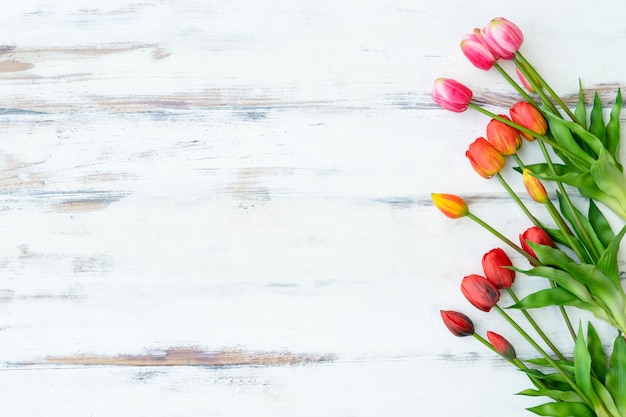 Premium Photo | Red and pink tulips on old white wooden board with free ...