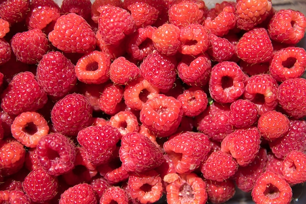 Premium Photo | Red raspberry texture or background.