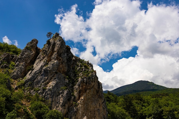 Premium Photo | Red rock, cliff in the gurzuf valley on the southern ...