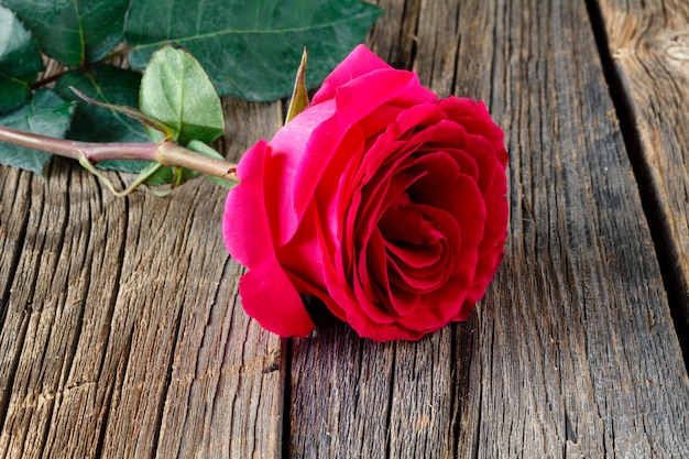 Premium Photo | Red rose on wooden table