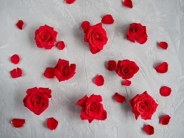 灰色のテクスチャ背景の赤いバラの花 プレミアム写真