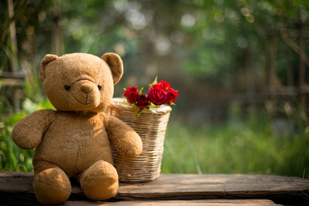 red roses and teddy bear