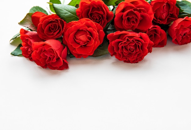 Red roses on white background | Premium Photo