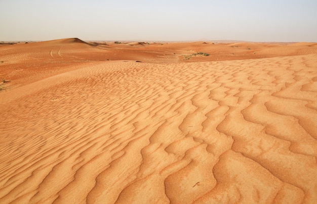 Premium Photo | Red sand of desert near dubai