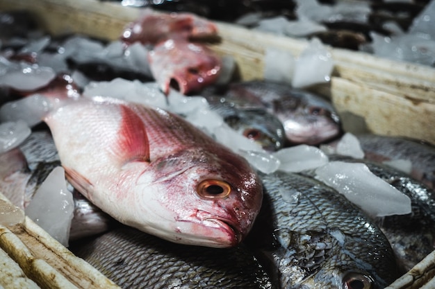 Dettaglio Di Pesce Snapper Rosso Su Un Mercato Del Pesce Foto Gratis