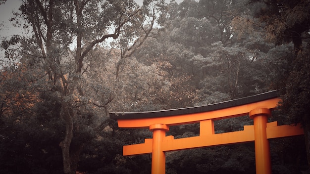 京都のコピースペースと空を背景に神社の赤い鳥居 プレミアム写真