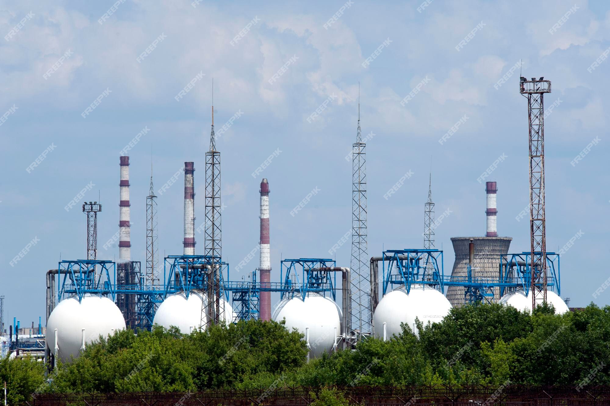 Premium Photo | Refining plants in the open air on a background of green