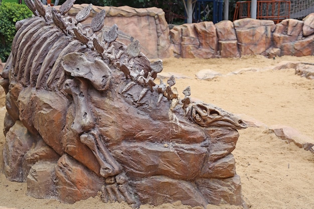 dinosaur fossils in ground