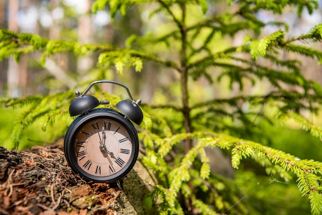 Premium Photo | Retro alarm clock in green forest. abstract photo of time.