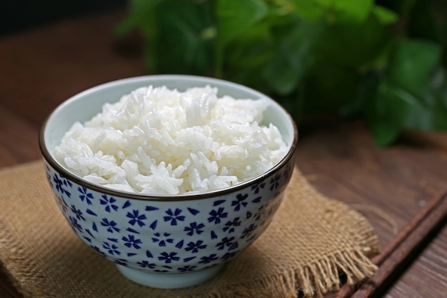 Rice in a bowl Free Photo