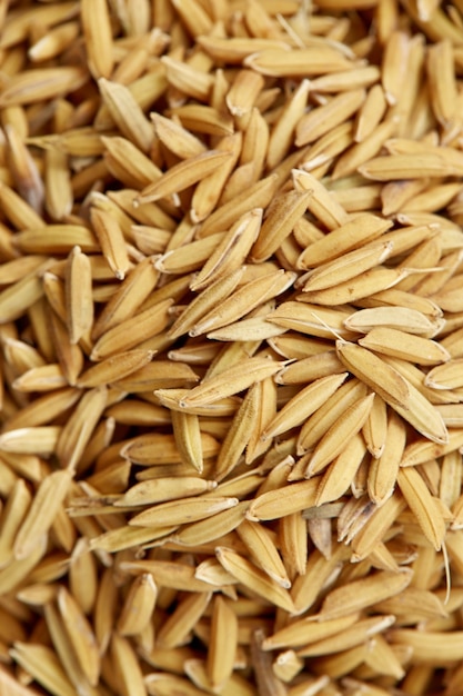 Premium Photo | Rice seed background & texture