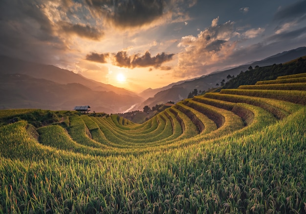 Premium Photo | Rice terrace mountains in mu can chai, vietnam