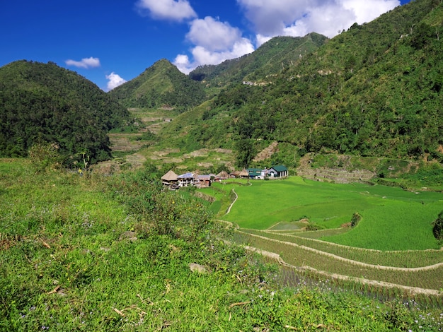 Premium Photo | The rice terraces in bangaan philippines