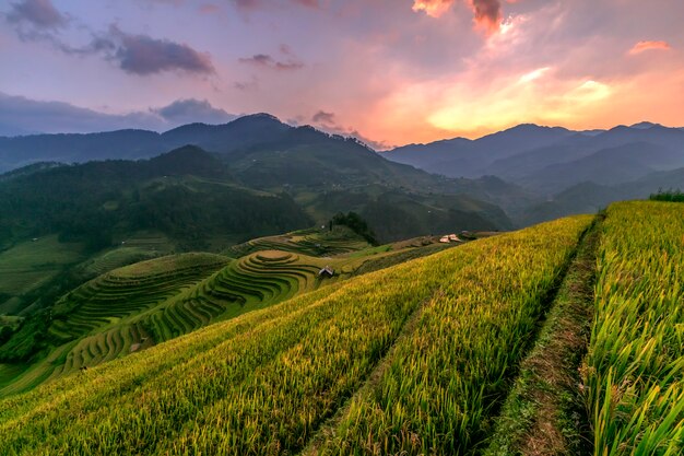 Premium Photo | Rice terraces at beautiful sunset