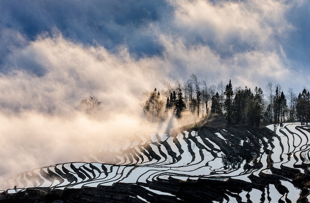 Premium Photo | Rice Terraces Of Yunnan Province Amid The Scenic ...