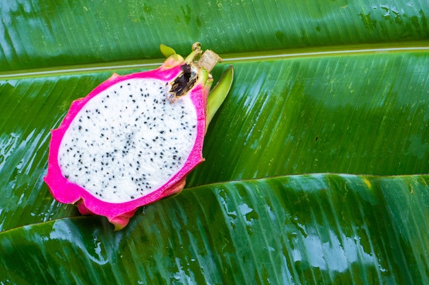 premium-photo-ripe-dragon-fruit-on-a-wet-green-leaf