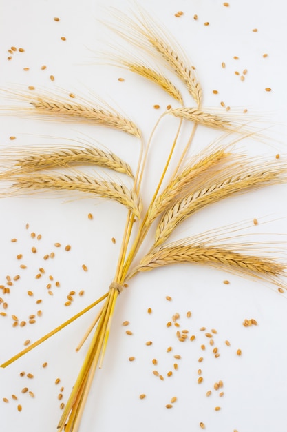 Premium Photo | Ripe ears of wheat tied with rope on white