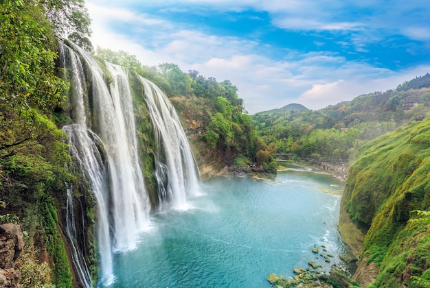 Rivers plant rocks water leaves | Premium Photo