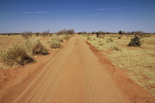 Premium Photo | Road in desert of sudan