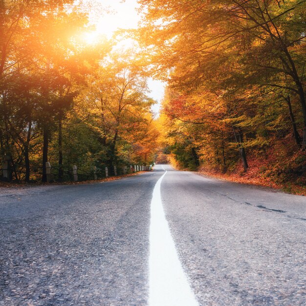 Premium Photo | Road in the mountains